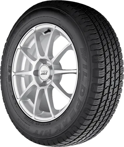 Falken Wildpeak H/T01A tire