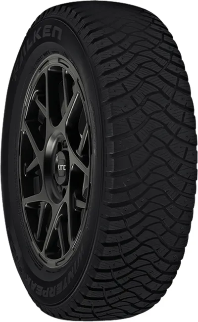 Falken Winterpeak F-Ice 1 tire