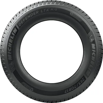Michelin Agilis CrossClimate tire
