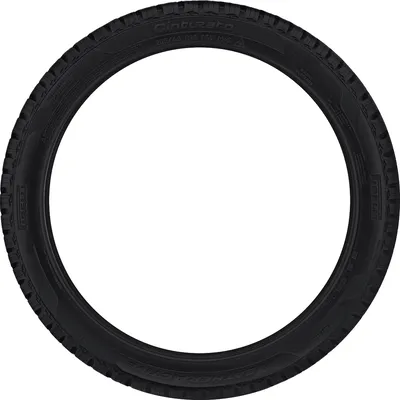 Pirelli Cinturato WeatherActive tire