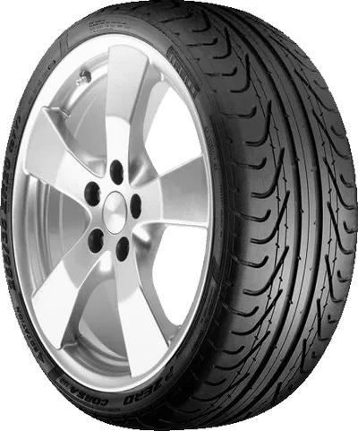 Pirelli Corsa Direzionale tire