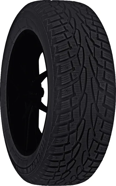 Uniroyal Tiger Paw Ice & Snow 3 tire
