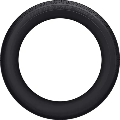Uniroyal Tiger Paw Touring A/S tire