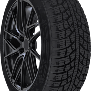 195/55R16 Antares Lumi 001 Winter